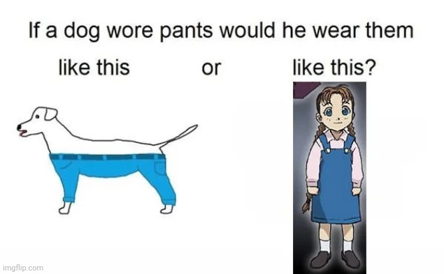 She IS the pants. | image tagged in fullmetal alchemist,memes,pants,dog,cursed,fmab | made w/ Imgflip meme maker