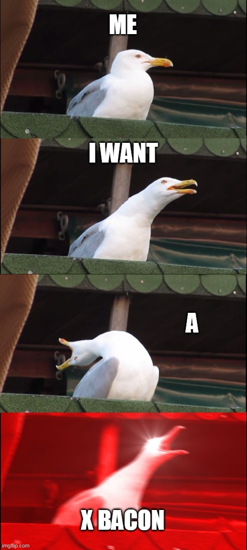 Inhaling Seagull | ME; I WANT; A; X BACON | image tagged in memes,inhaling seagull | made w/ Imgflip meme maker
