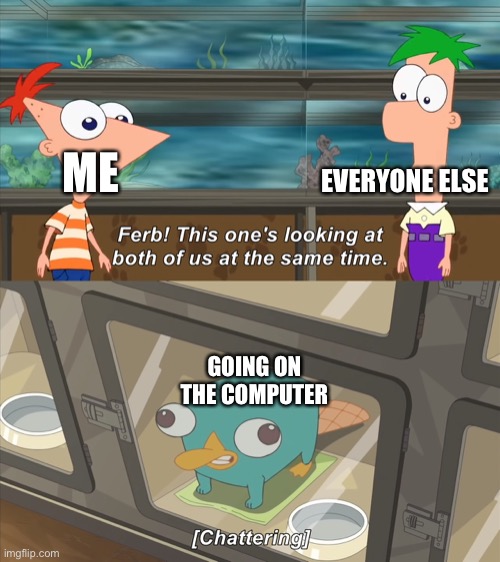 phineas and ferb | ME EVERYONE ELSE GOING ON THE COMPUTER | image tagged in phineas and ferb | made w/ Imgflip meme maker