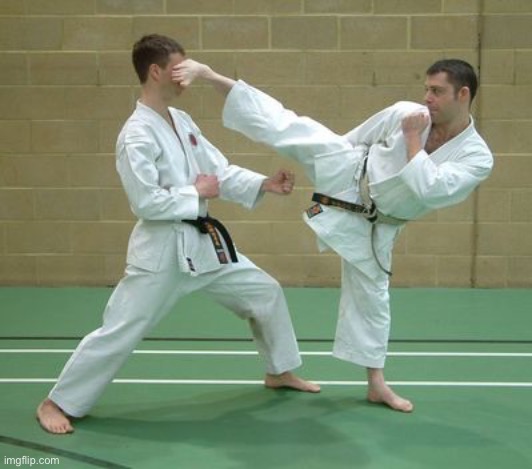 Karate side kick | image tagged in karate side kick | made w/ Imgflip meme maker