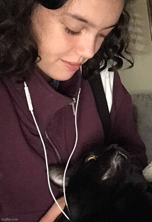 cat | made w/ Imgflip meme maker
