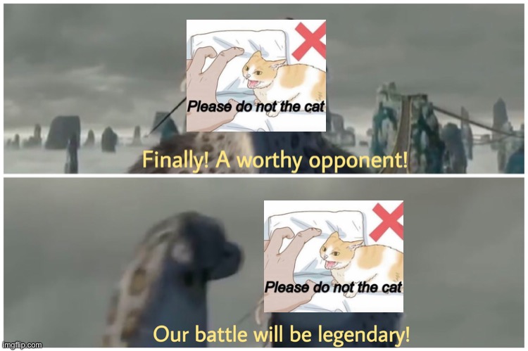 Finally! A worthy opponent! Our battle will be legendary! | image tagged in finally a worthy opponent our battle will be legendary | made w/ Imgflip meme maker