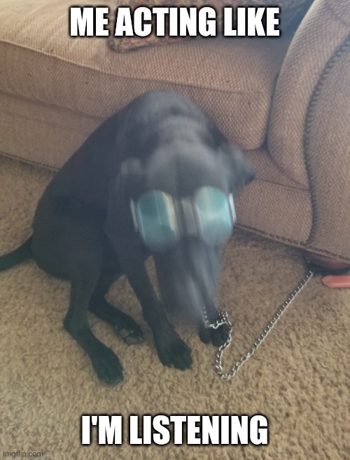 Blurry Doggle | ME ACTING LIKE; I'M LISTENING | image tagged in blurry doggle | made w/ Imgflip meme maker