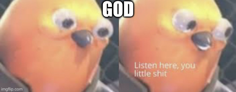 Listen here you little shit bird | GOD | image tagged in listen here you little shit bird | made w/ Imgflip meme maker