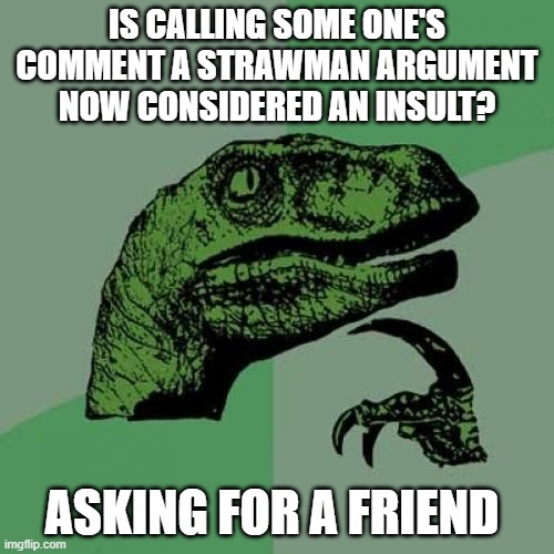 strawman | IS CALLING SOME ONE'S COMMENT A STRAWMAN ARGUMENT NOW CONSIDERED AN INSULT? ASKING FOR A FRIEND | image tagged in memes,philosoraptor | made w/ Imgflip meme maker