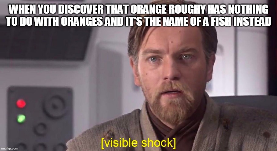 WHEN YOU DISCOVER THAT ORANGE ROUGHY HAS NOTHING TO DO WITH ORANGES AND IT'S THE NAME OF A FISH INSTEAD | image tagged in orange,fish,shock,surprise,fun fact,relateable | made w/ Imgflip meme maker