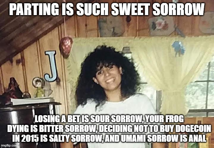 jaimmster on | PARTING IS SUCH SWEET SORROW; LOSING A BET IS SOUR SORROW, YOUR FROG DYING IS BITTER SORROW, DECIDING NOT TO BUY DOGECOIN IN 2015 IS SALTY SORROW, AND UMAMI SORROW IS ANAL | image tagged in jaimmster on,shittyadviceanimals | made w/ Imgflip meme maker
