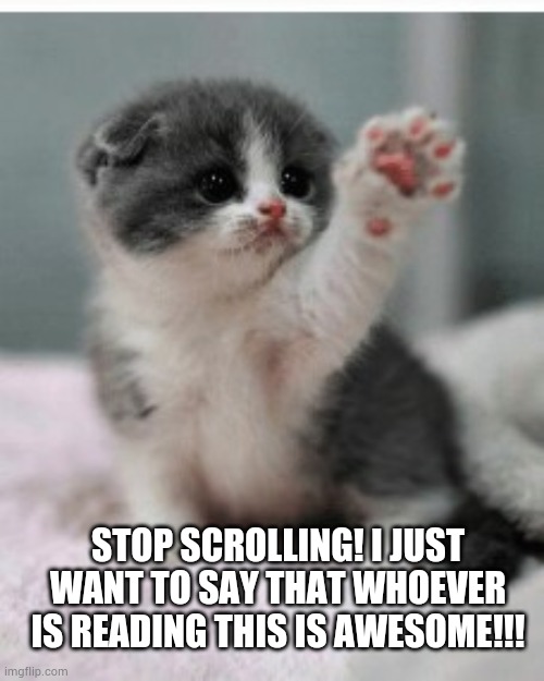 Don't go! | STOP SCROLLING! I JUST WANT TO SAY THAT WHOEVER IS READING THIS IS AWESOME!!! | image tagged in don't go | made w/ Imgflip meme maker
