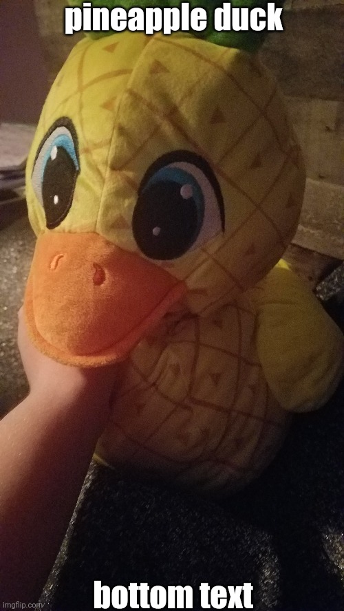 :3 | pineapple duck; bottom text | made w/ Imgflip meme maker