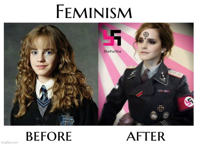 Feminism Before & After | image tagged in feminism,feminism is cancer,anti-feminism,feminist,feminist chick | made w/ Imgflip meme maker