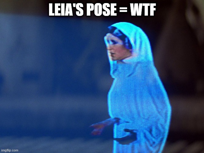 Those Hands | LEIA'S POSE = WTF | image tagged in princess leia hologram | made w/ Imgflip meme maker