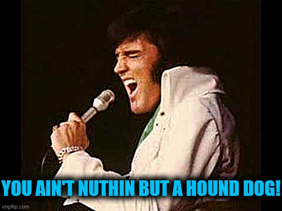 YOU AIN'T NUTHIN BUT A HOUND DOG! | made w/ Imgflip meme maker