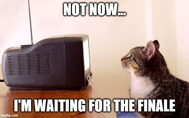 cat watching tv | NOT NOW... I'M WAITING FOR THE FINALE | image tagged in cat watching tv | made w/ Imgflip meme maker