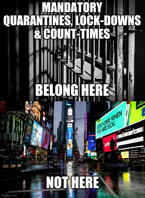 Socialism Is Incarceration | MANDATORY QUARANTINES, LOCK-DOWNS & COUNT-TIMES; BELONG HERE; NOT HERE | image tagged in prison,socialism,tyranny,covid-19,vaccines,lockdown | made w/ Imgflip meme maker