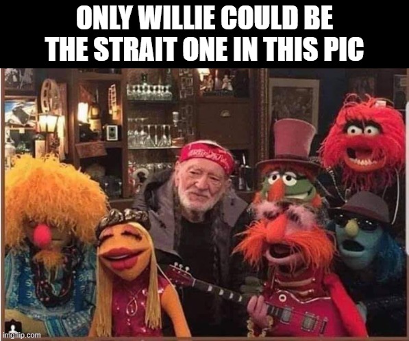 Willie does Sea street | ONLY WILLIE COULD BE THE STRAIT ONE IN THIS PIC | image tagged in pot,dope,muppets,willie | made w/ Imgflip meme maker