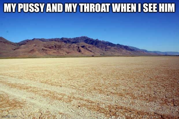 Desert Large dry | MY PUSSY AND MY THROAT WHEN I SEE HIM | image tagged in desert large dry | made w/ Imgflip meme maker