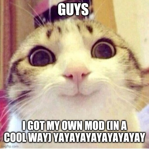 I'm happy (in a cool way) | GUYS; I GOT MY OWN MOD (IN A COOL WAY) YAYAYAYAYAYAYAYAY | image tagged in happy cat | made w/ Imgflip meme maker