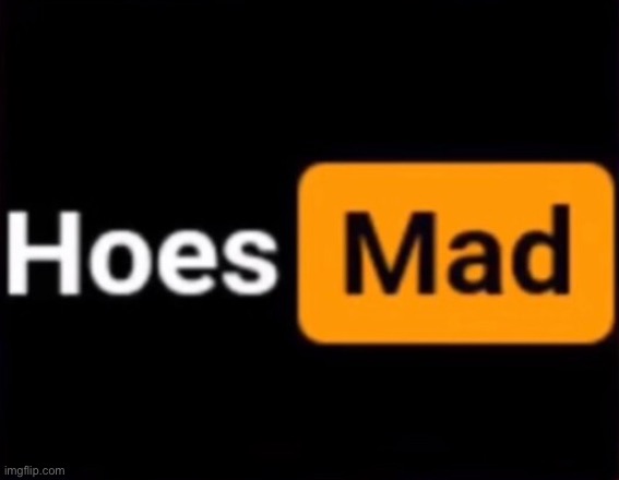 hoes mad | image tagged in hoes mad | made w/ Imgflip meme maker