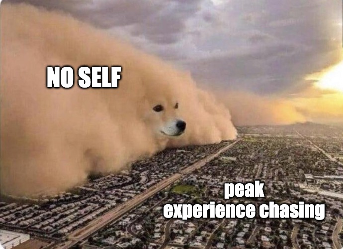 no self | NO SELF; peak experience chasing | image tagged in doge cloud | made w/ Imgflip meme maker
