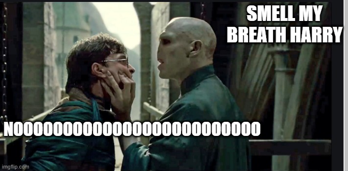 SMELL MY BREATH HARRY; NOOOOOOOOOOOOOOOOOOOOOOOOO | image tagged in harry potter,voldemort,smell,bad breath | made w/ Imgflip meme maker
