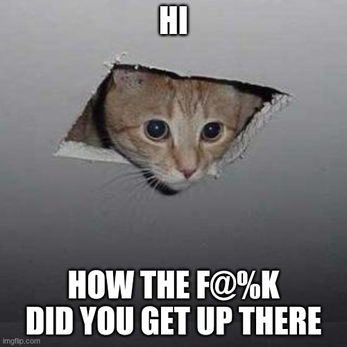 Ceiling Cat | HI; HOW THE F@%K DID YOU GET UP THERE | image tagged in memes,ceiling cat | made w/ Imgflip meme maker