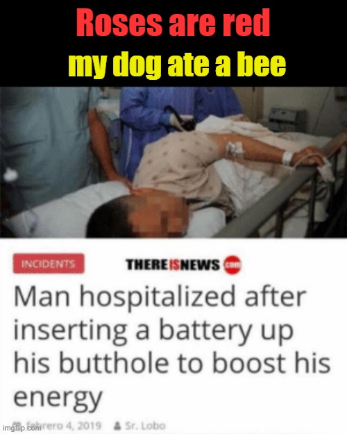 real madman |  Roses are red; my dog ate a bee | image tagged in poem,memes,funny,gifs,not really a gif,oh wow are you actually reading these tags | made w/ Imgflip meme maker