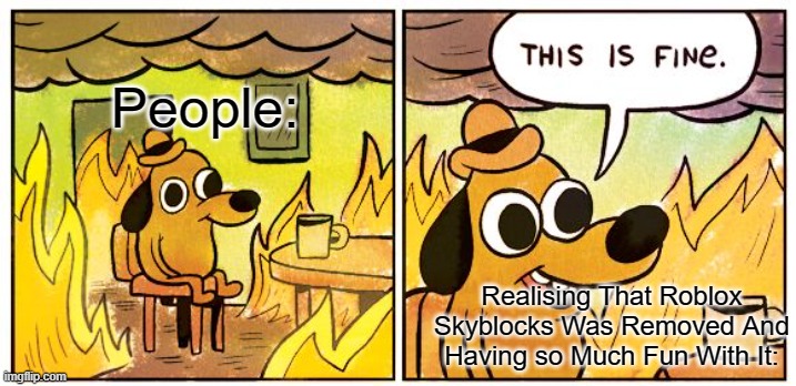 This Is Fine Meme | People:; Realising That Roblox Skyblocks Was Removed And Having so Much Fun With It: | image tagged in memes,this is fine | made w/ Imgflip meme maker