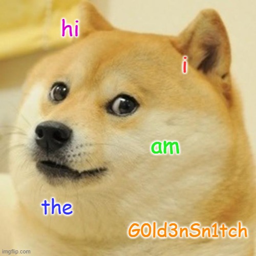 Doge | hi; i; am; the; G0ld3nSn1tch | image tagged in memes,doge | made w/ Imgflip meme maker