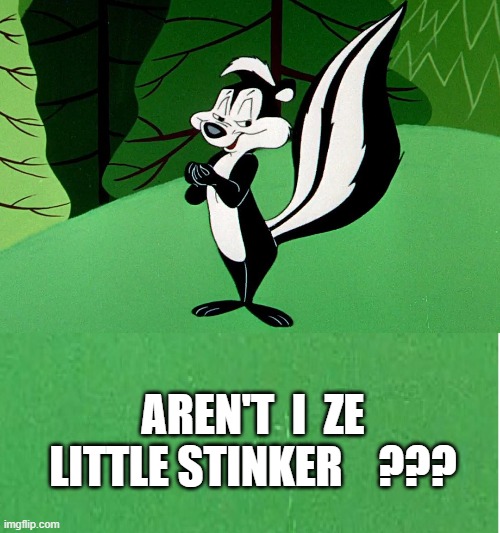 Stinker |  AREN'T  I  ZE LITTLE STINKER    ??? | image tagged in for real,peppi | made w/ Imgflip meme maker