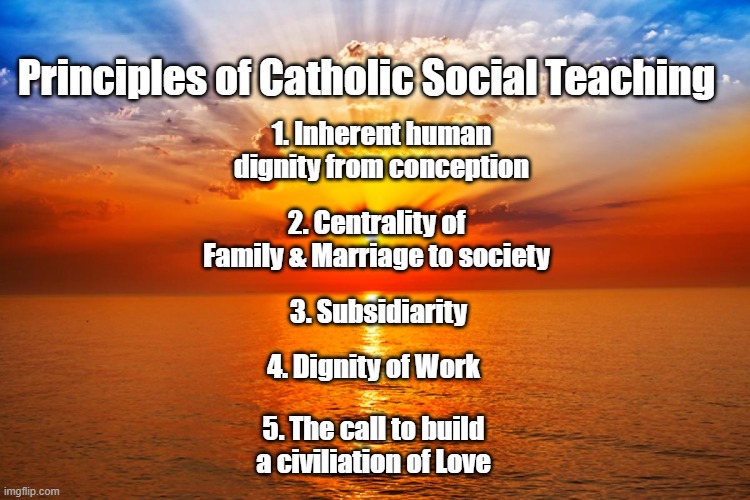 Principles of Catholic Social teaching |  Principles of Catholic Social Teaching; 1. Inherent human dignity from conception; 2. Centrality of Family & Marriage to society; 3. Subsidiarity; 4. Dignity of Work; 5. The call to build a civiliation of Love | image tagged in catholic,dignity,prolife | made w/ Imgflip meme maker