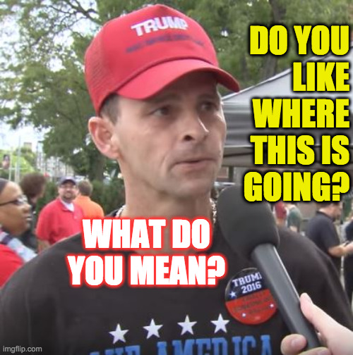 Trump supporter | DO YOU
LIKE
WHERE
THIS IS
GOING? WHAT DO YOU MEAN? | image tagged in trump supporter | made w/ Imgflip meme maker