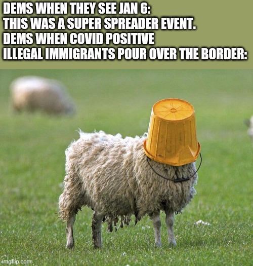 Picture of a modern leftist | DEMS WHEN THEY SEE JAN 6: THIS WAS A SUPER SPREADER EVENT.
DEMS WHEN COVID POSITIVE ILLEGAL IMMIGRANTS POUR OVER THE BORDER: | image tagged in stupid sheep | made w/ Imgflip meme maker