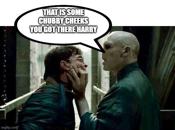 Voldemort and Harry | THAT IS SOME CHUBBY CHEEKS YOU GOT THERE HARRY | image tagged in voldemort and harry | made w/ Imgflip meme maker