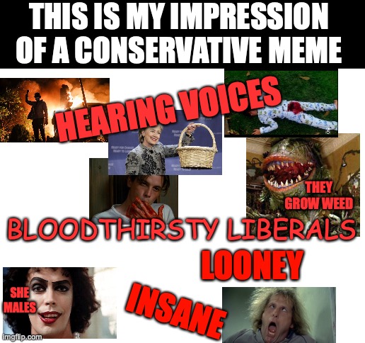 Blank White Template | THIS IS MY IMPRESSION OF A CONSERVATIVE MEME; HEARING VOICES; THEY GROW WEED; BLOODTHIRSTY LIBERALS; LOONEY; SHE MALES; INSANE | image tagged in blank white template | made w/ Imgflip meme maker