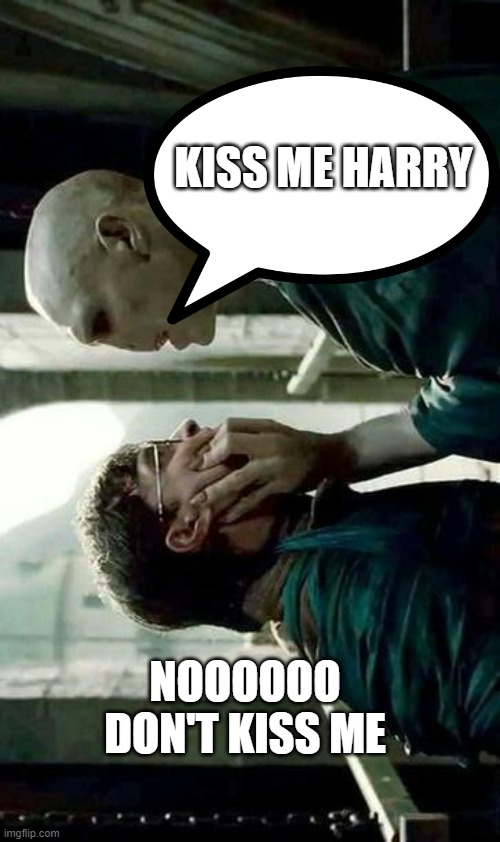 Voldemort and Harry | KISS ME HARRY; NOOOOOO DON'T KISS ME | image tagged in voldemort and harry | made w/ Imgflip meme maker