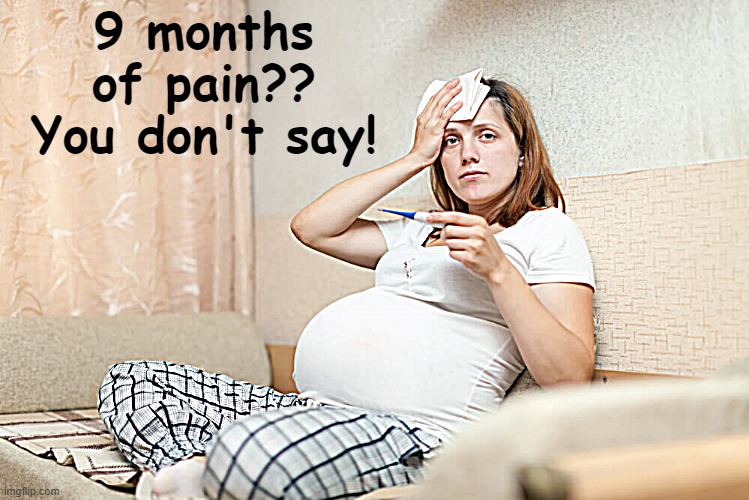 9 months of pain?? You don't say! | made w/ Imgflip meme maker