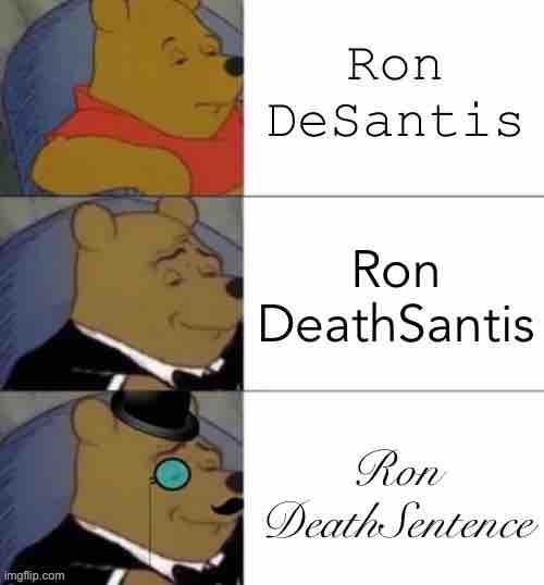 Florida Governor Ron _____ | image tagged in florida governor rondesantis | made w/ Imgflip meme maker