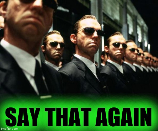 multiple agent smiths from the matrix | SAY THAT AGAIN | image tagged in multiple agent smiths from the matrix | made w/ Imgflip meme maker