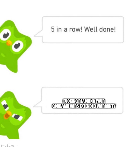 Duolingo 5 in a row | FUCKING REACHING YOUR GODDAMN CARS EXTENDED WARRANTY | image tagged in duolingo 5 in a row | made w/ Imgflip meme maker
