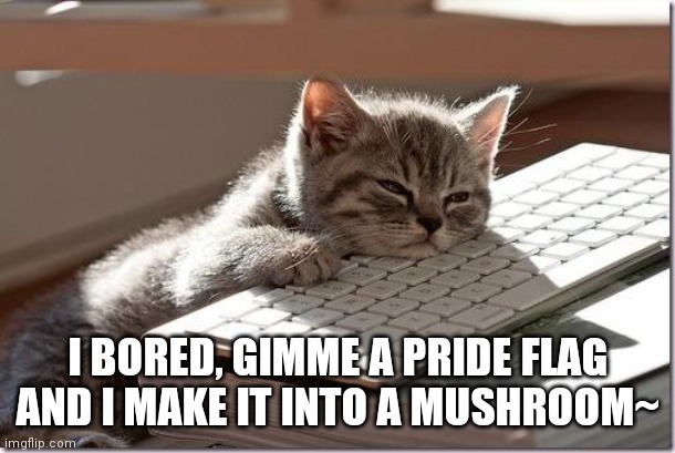 Mushrooooom | I BORED, GIMME A PRIDE FLAG AND I MAKE IT INTO A MUSHROOM~ | image tagged in bored keyboard cat | made w/ Imgflip meme maker