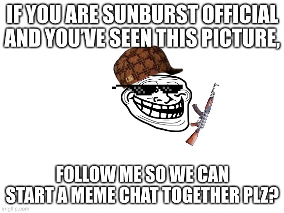COULD YOU PLEASE | IF YOU ARE SUNBURST OFFICIAL AND YOU’VE SEEN THIS PICTURE, FOLLOW ME SO WE CAN START A MEME CHAT TOGETHER PLZ? | image tagged in blank white template | made w/ Imgflip meme maker