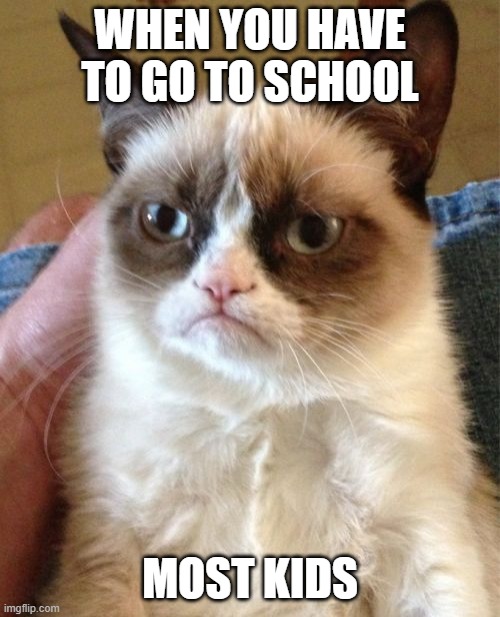 Grumpy Cat Meme | WHEN YOU HAVE TO GO TO SCHOOL; MOST KIDS | image tagged in memes,grumpy cat | made w/ Imgflip meme maker
