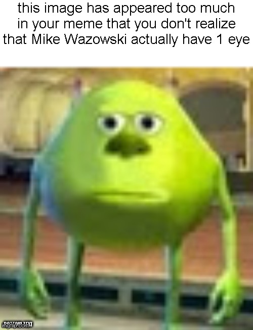 Sully Wazowski | this image has appeared too much in your meme that you don't realize that Mike Wazowski actually have 1 eye; BOTTOM TEXT | image tagged in sully wazowski | made w/ Imgflip meme maker