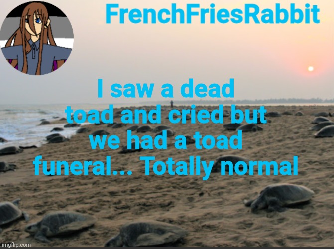 HELP ME GIVE THE TOAD A NAME PLEASEEE | I saw a dead toad and cried but we had a toad funeral... Totally normal | image tagged in i like turtles | made w/ Imgflip meme maker