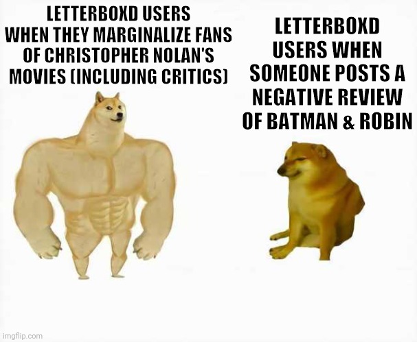 Strong dog vs weak dog | LETTERBOXD USERS WHEN THEY MARGINALIZE FANS OF CHRISTOPHER NOLAN'S MOVIES (INCLUDING CRITICS); LETTERBOXD USERS WHEN SOMEONE POSTS A NEGATIVE REVIEW OF BATMAN & ROBIN | image tagged in strong dog vs weak dog,christopher nolan,cinema,letterboxd,pretend cinephiles | made w/ Imgflip meme maker