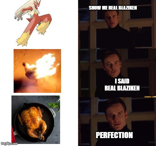 blaziken | SHOW ME REAL BLAZIKEN; I SAID REAL BLAZIKEN; PERFECTION | image tagged in perfection,pokemon | made w/ Imgflip meme maker