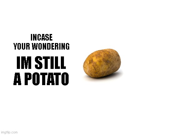Are YOU a potato enthusiast? | INCASE YOUR WONDERING; IM STILL A POTATO | image tagged in blank white template,potato,mrpotatofries,laysmorelikelies,hmmyespotato,sixth tag | made w/ Imgflip meme maker
