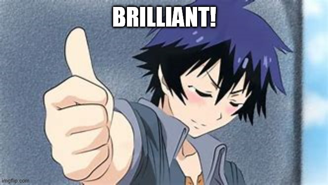 Yep Another other anime thumb | BRILLIANT! | image tagged in yep another other anime thumb | made w/ Imgflip meme maker