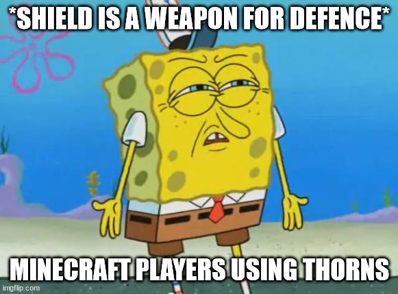 Angry Spongebob | *SHIELD IS A WEAPON FOR DEFENCE*; MINECRAFT PLAYERS USING THORNS | image tagged in angry spongebob | made w/ Imgflip meme maker