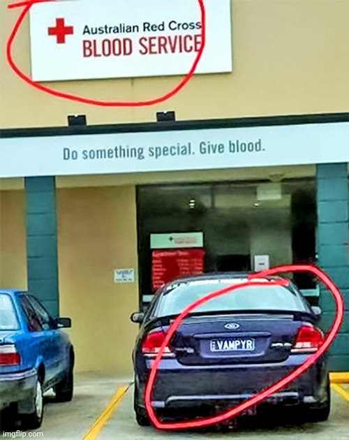 Hold the frick up | image tagged in funny | made w/ Imgflip meme maker